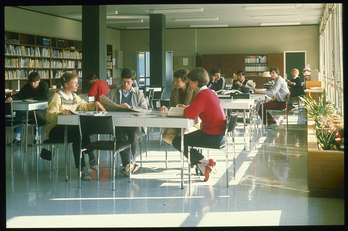 bibliothèque universitaire