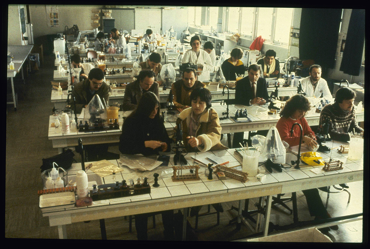 travaux dirigés en faculté de Sciences