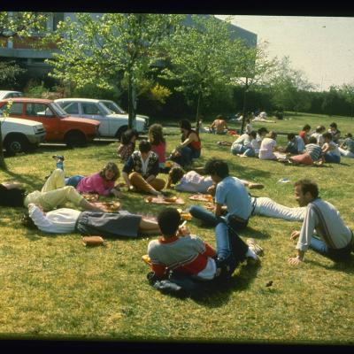 moment de détente sur les pelouses du campus