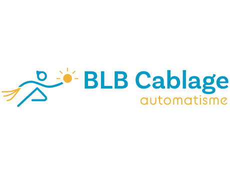 BLB Cablage
