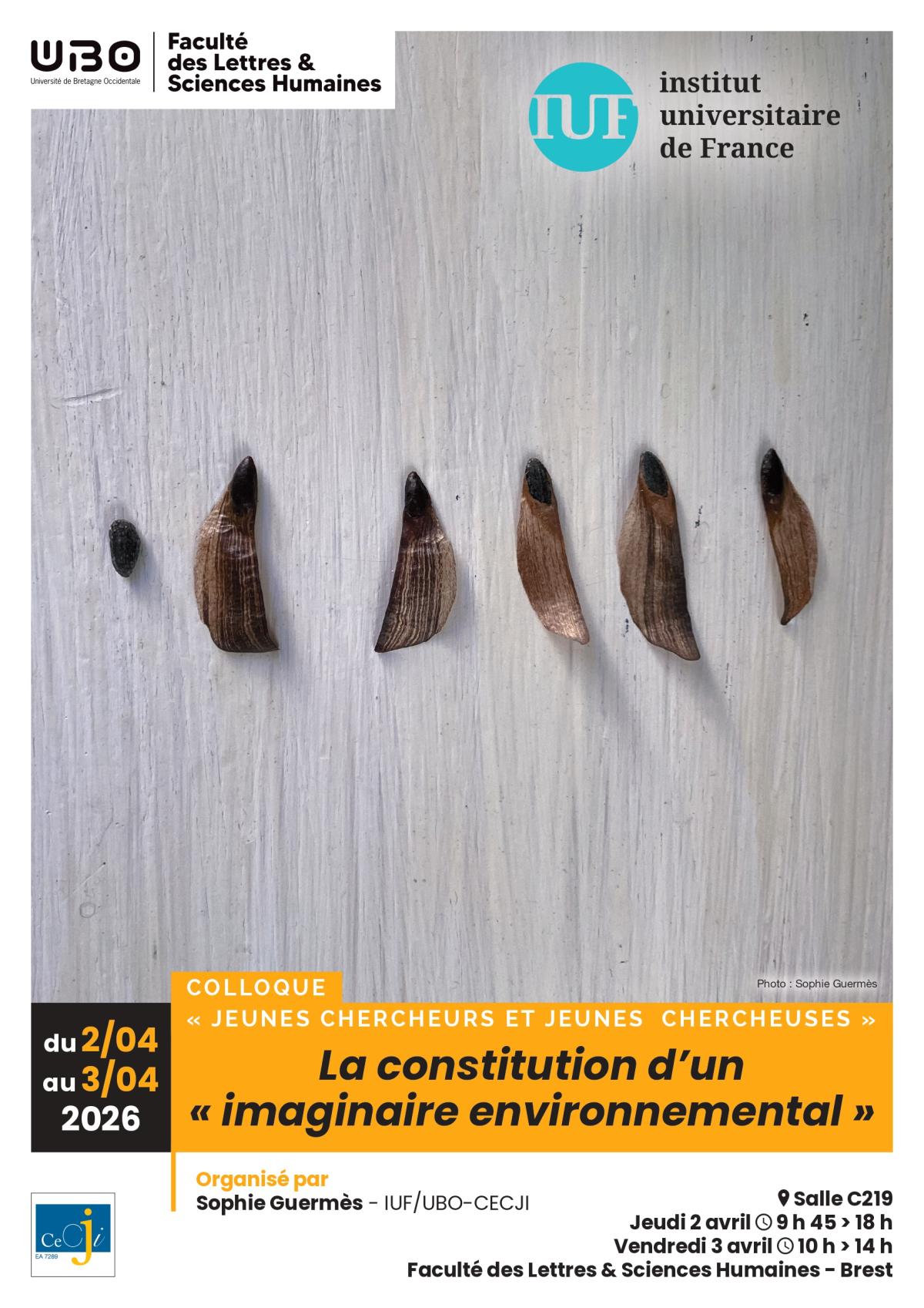 La constitution d'un imaginaire environnemental