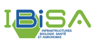 ibisa