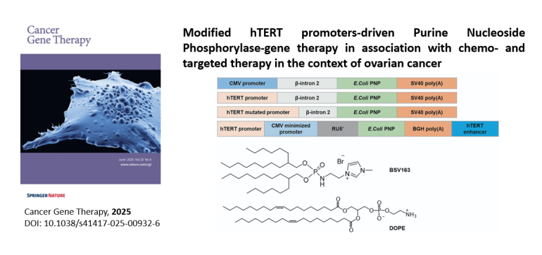 Cancer gene therapy, 2025