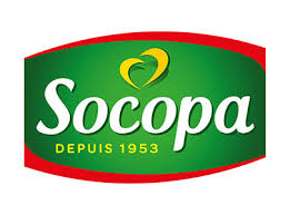 Socopa