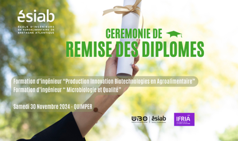 RDD2024