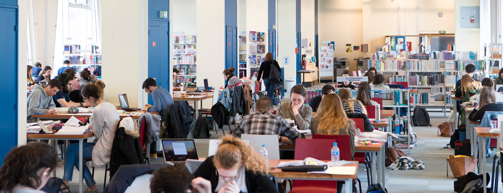 Taxe d'apprentissage d'image