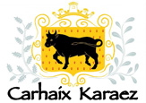 Carhaix