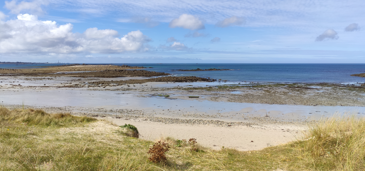 Visuel pour illsutrer les formations en mer et littoral