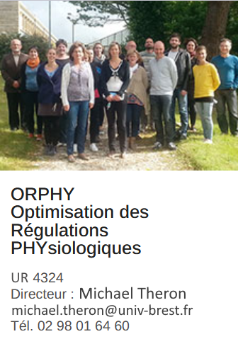 orphy2