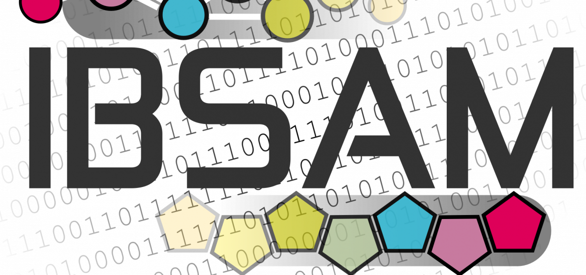 logo-ibsam