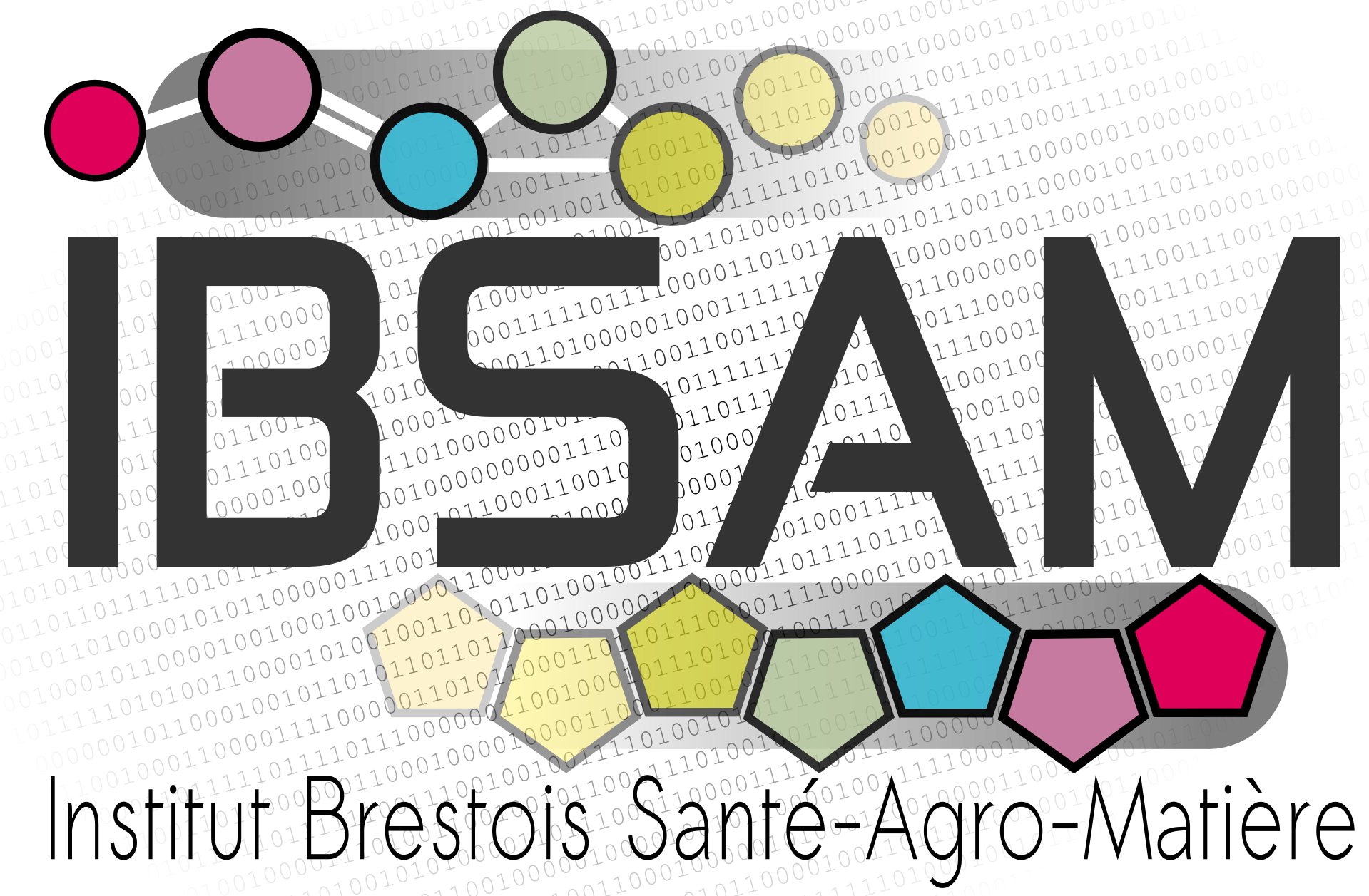 logo-ibsam