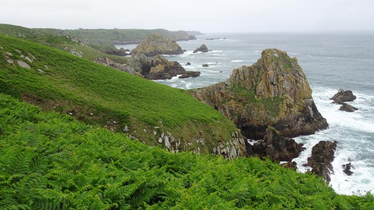 goulien (1)