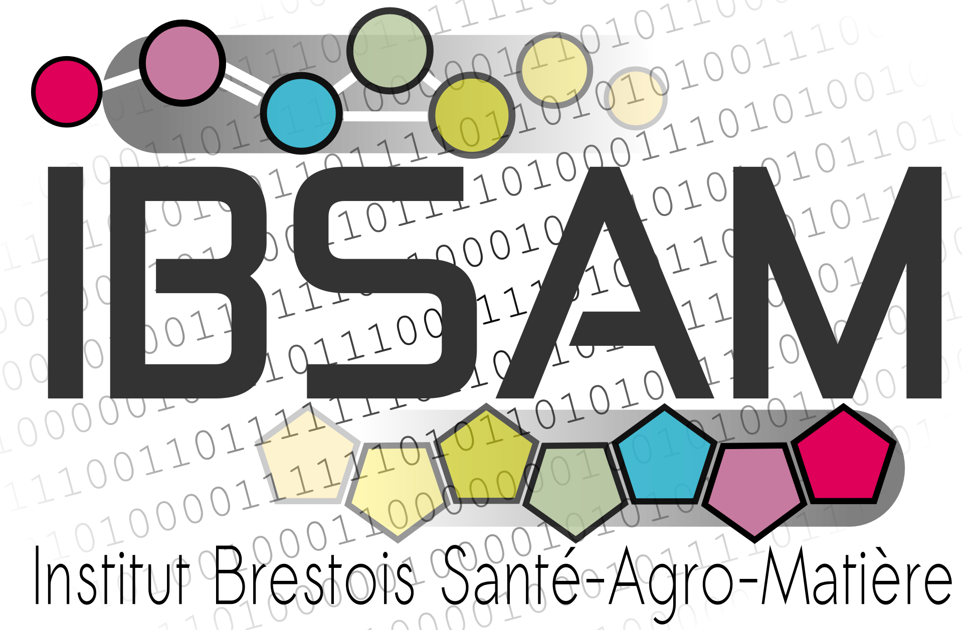 logo_ibsam