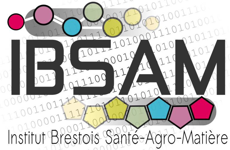 logo_ibsam