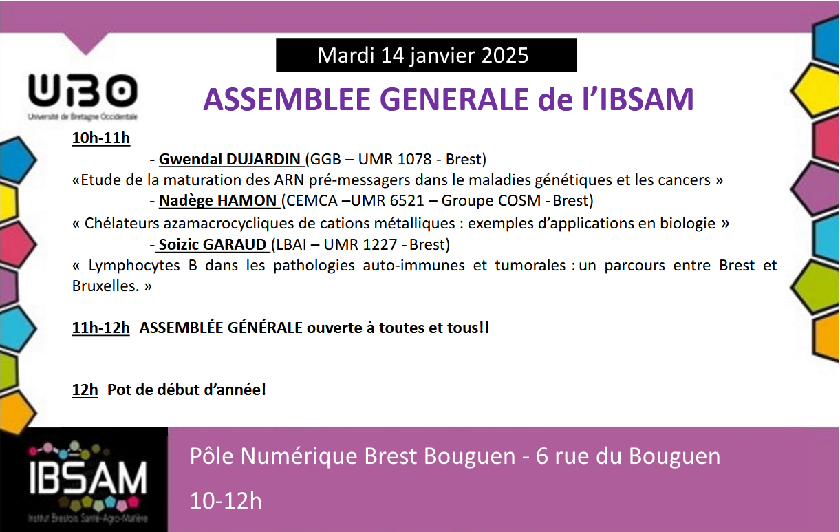 ibsam_programme_20250114