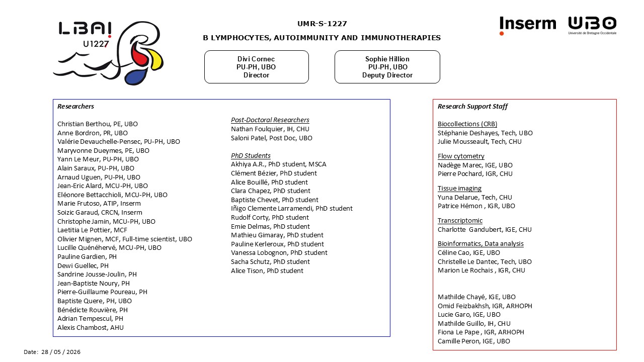 lbai_organigramme_2026