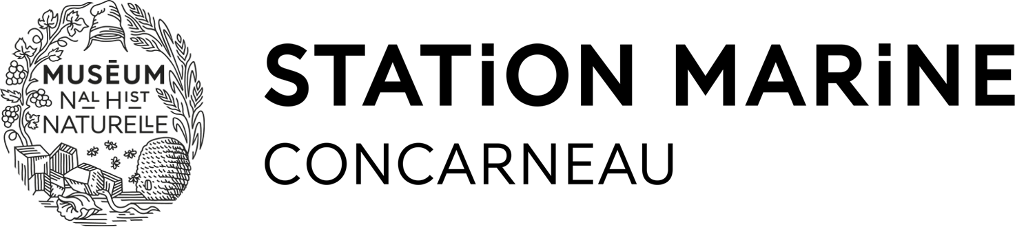 logo-MNHN-concarneau