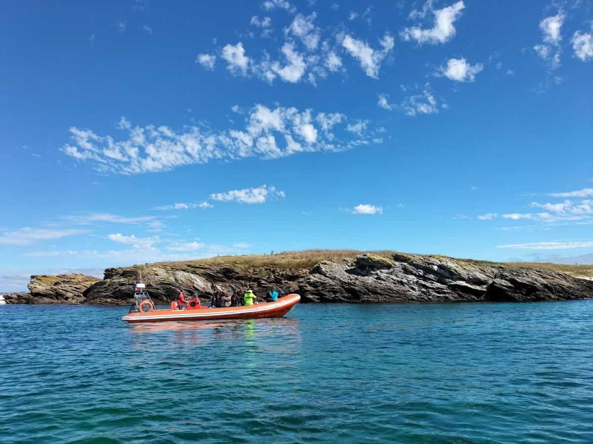 Sortie en bateau pendant l'université d'été Mer&Éducation 2022