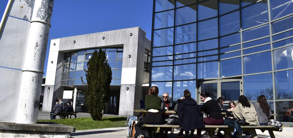 Etudiants travaillant dehors