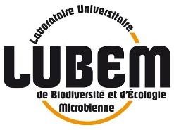 Logo LUBEM
