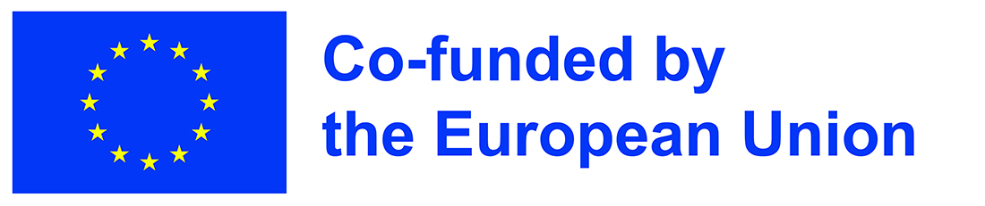 Co-funded by the European Union 