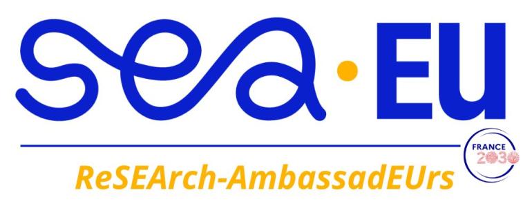 ReSEArch-AmbassadEUrs logo