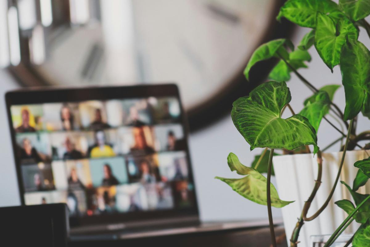 virtual courses