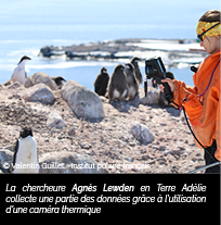 Agnès Lewden en Terre Adélie collecte des données grâce à l'utilisation d'une caméra thermique
