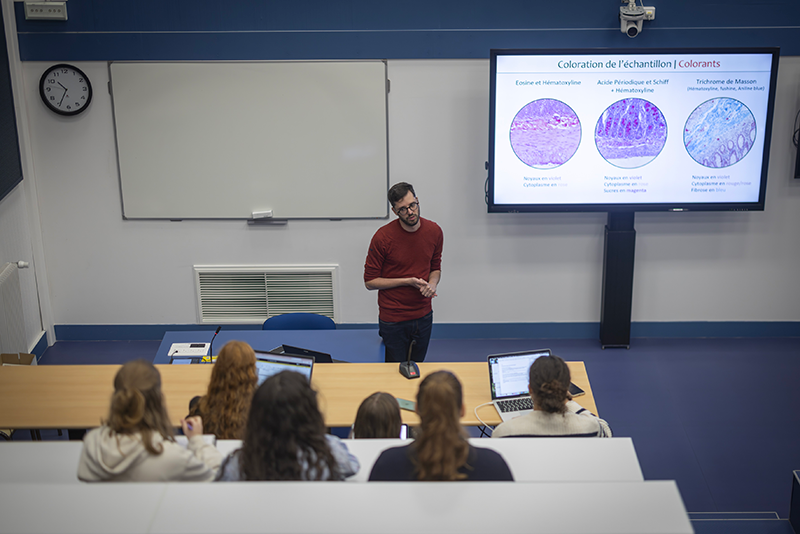Des étudiantes et étudiants de l'UBO en cours
