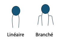 Comparaison entre lipide linéaire et branché
