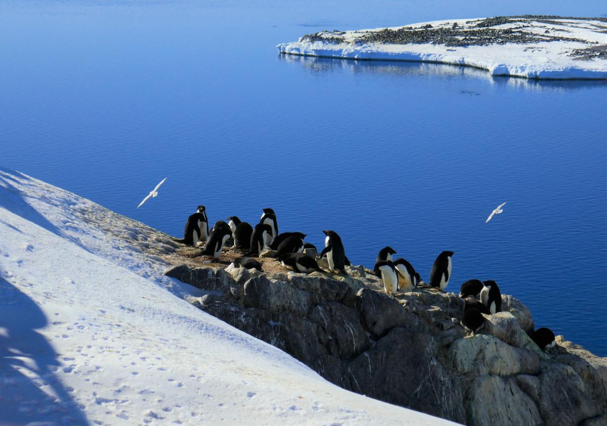 Paysage Antarctique - © Agnès Lewden