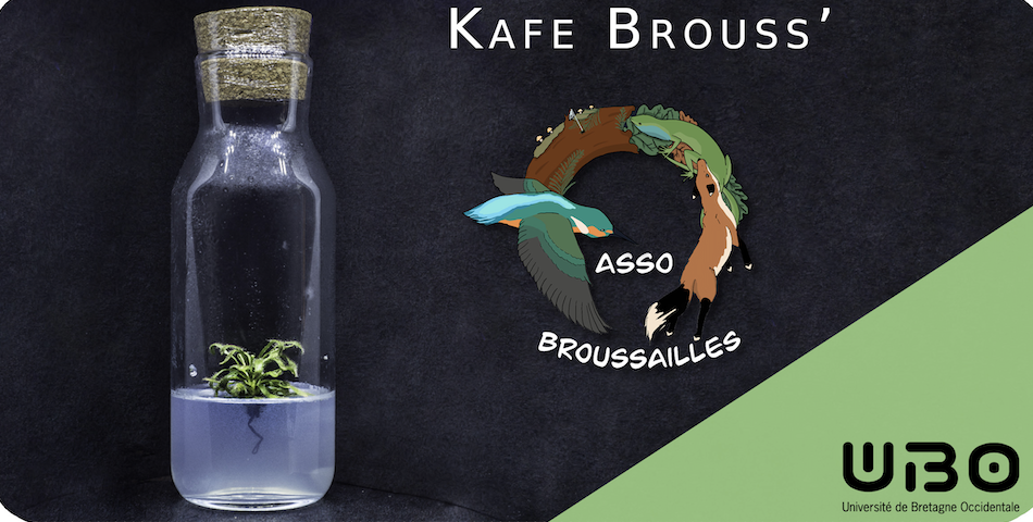 Kafe Brouss