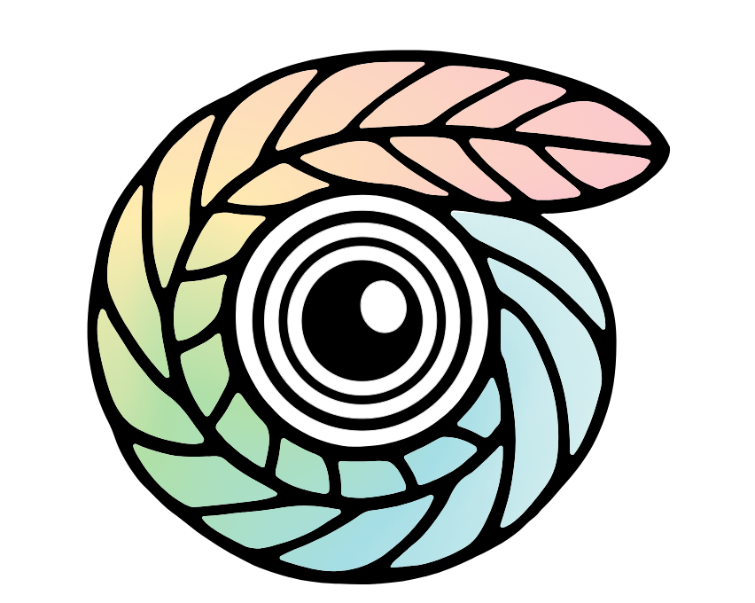 Logo Kevin Vaubrun
