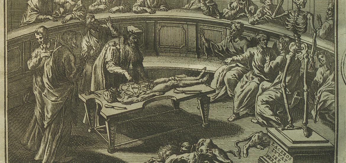 illustration des tables d'anatomie d'Eustache