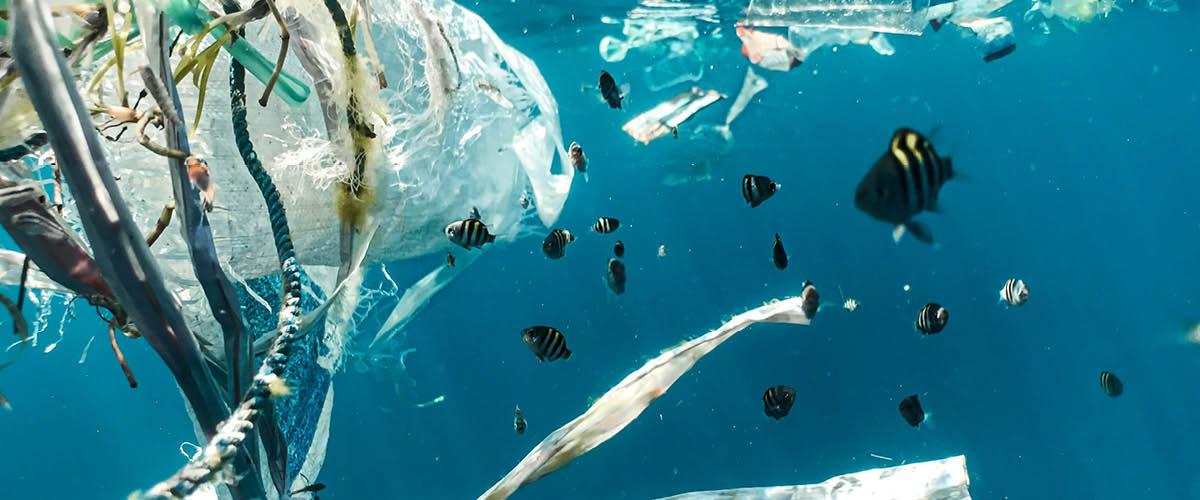 Pollution plastique