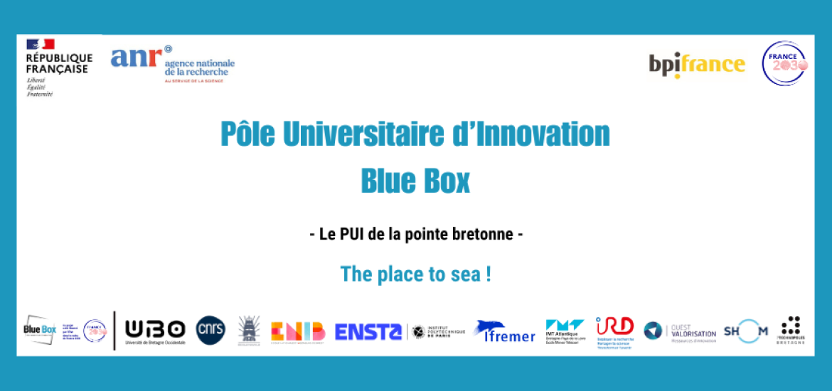 Logos PUI Blue Box