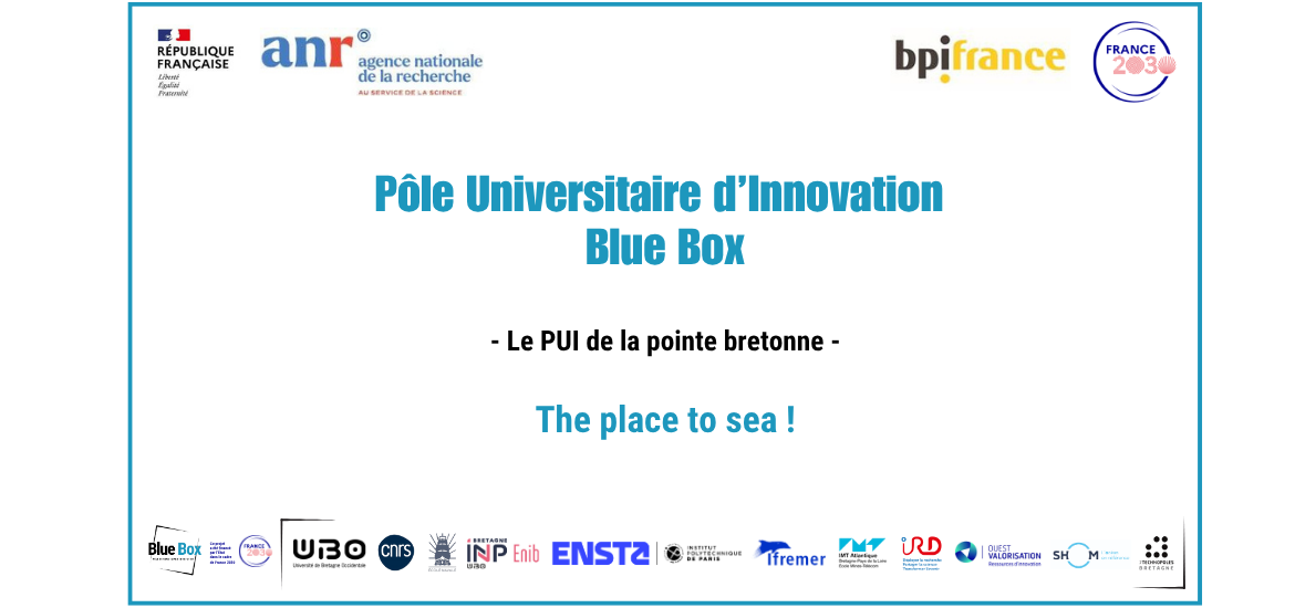PUI Blue Box