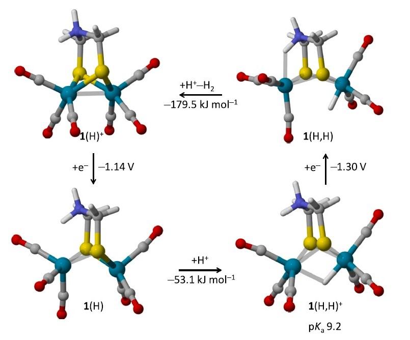 Bioelectrochem 2023