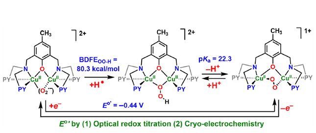 JACS 2024