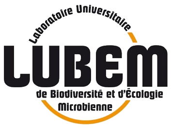 LUBEM