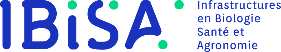 Logo IBiSA