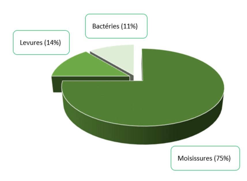 Répartition RB