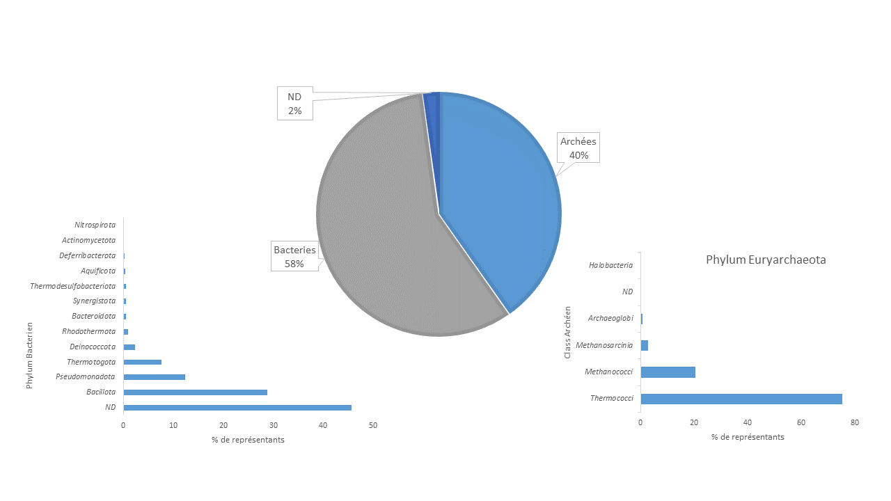 repartition collection marine