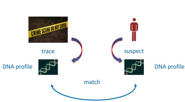 dna_profiling1